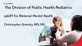Thumbnail image for the upLIFT for Maternal Mental Health webinar