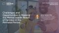 Thumbnail image for the Challenges and Opportunities in Meeting the Mental Health Needs of Families in the Perinatal Period webinar