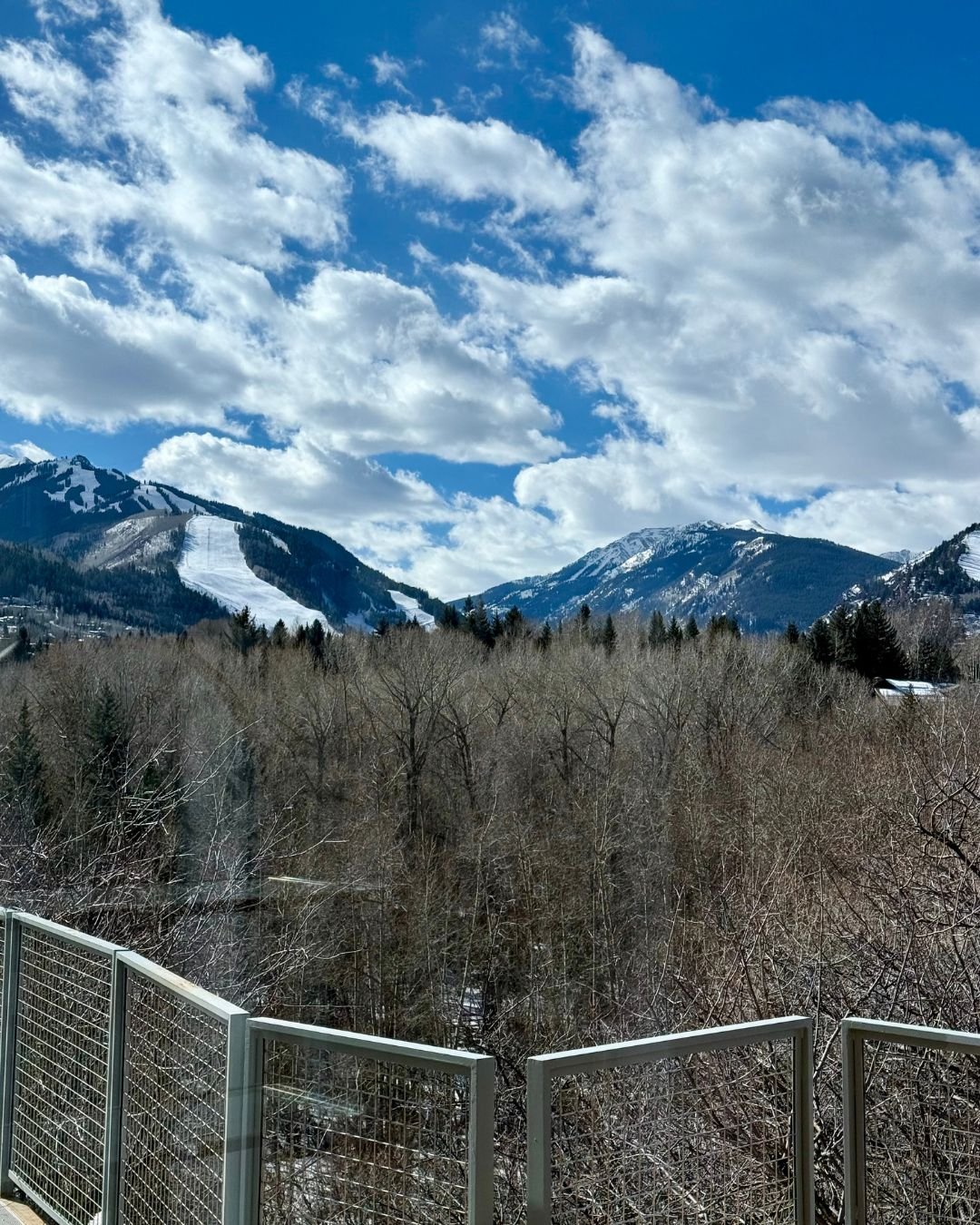 Winter Socrates Seminar in Aspen, Colorado, courtesy of Ginger Raya