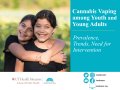 Thumbnail image for the Cannabis Vaping among Youth and Young Adults: Prevalence, Trends, Need for Intervention webinar