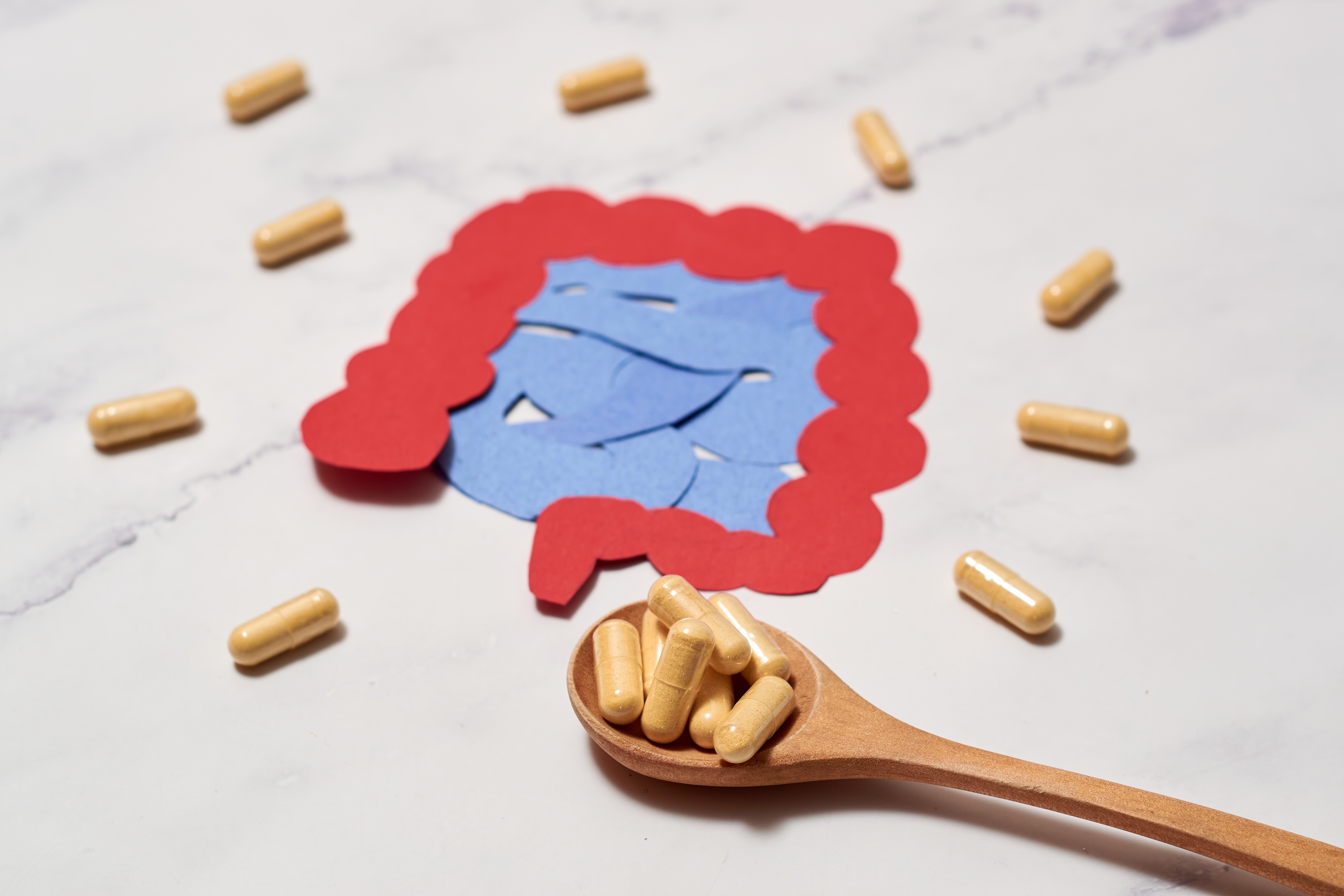 Dolores Woods, MA, RDN, LD, spoke to Verywell Health about the benefits of probiotics.