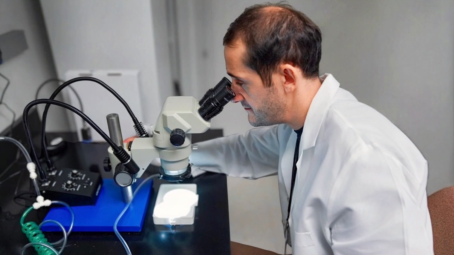 Researchers develop temperature-controlled gene-editing method to potentially improve efforts to control disease-carrying insects