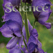GWAS Science Magazine Cover
